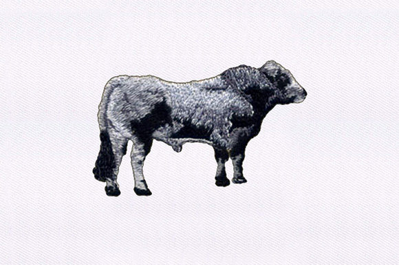 Gray and Black Cow Embroidery
